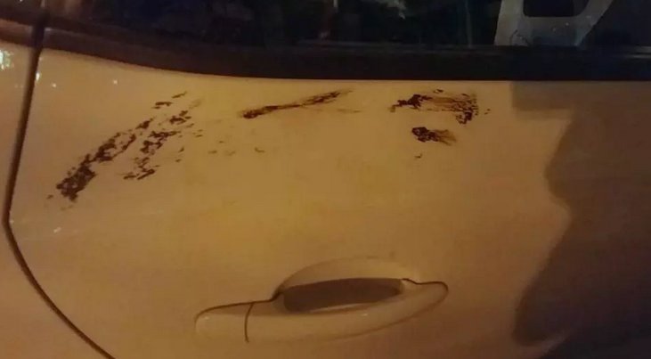 פתחו את הדלתות בכוח וניסו להצית את הרכב. צילום: אורית דיטשי 