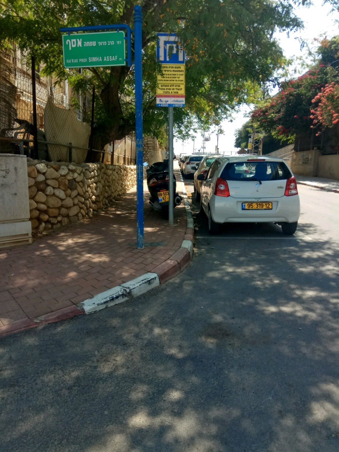 צילום באדיבות עמותת אור ירוק