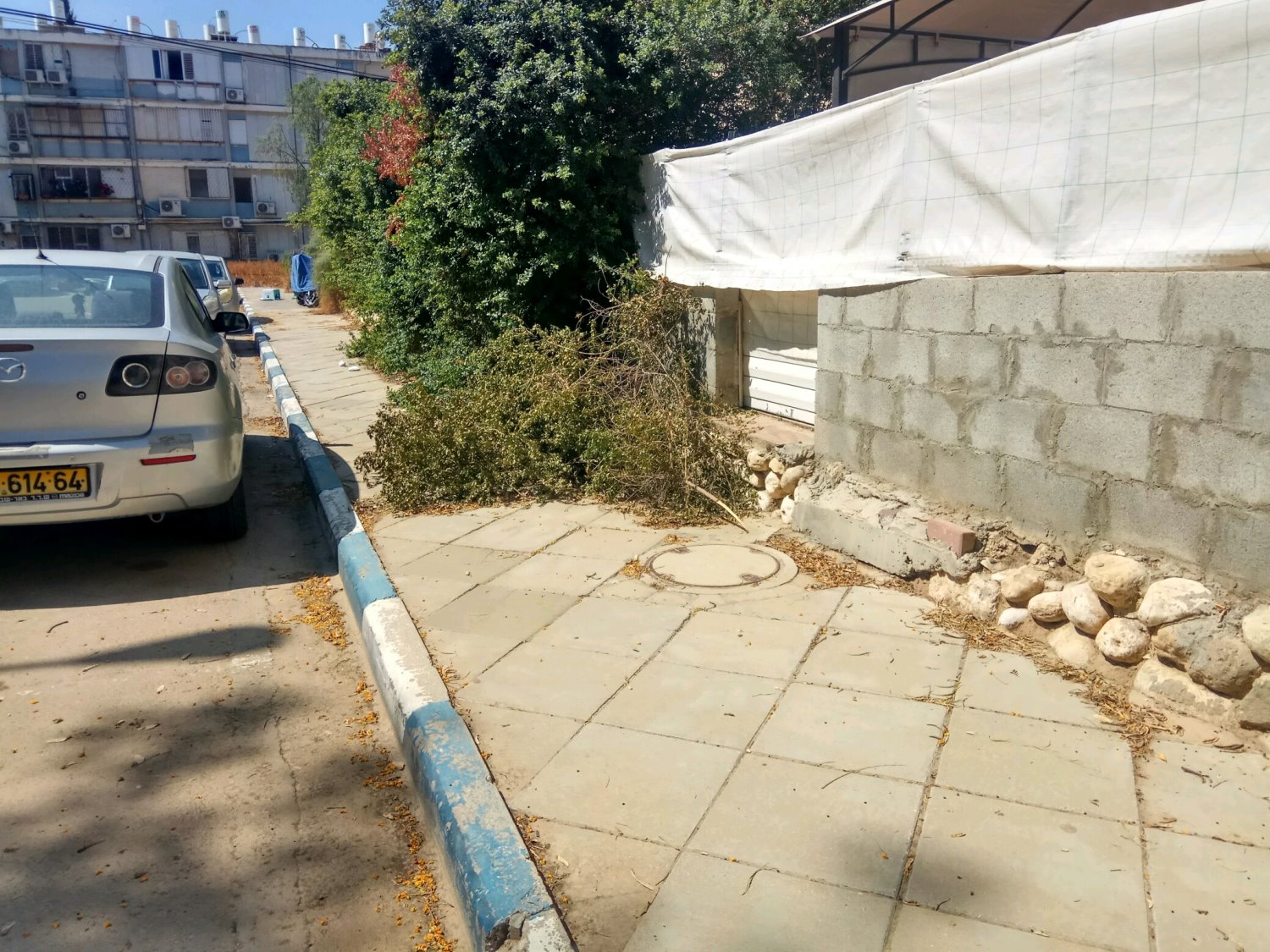 צילום באדיבות אור ירוק