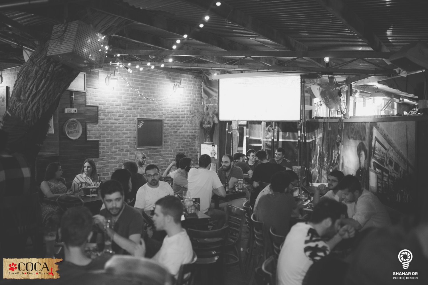 קוקה ברופאב. צילום: יחצ