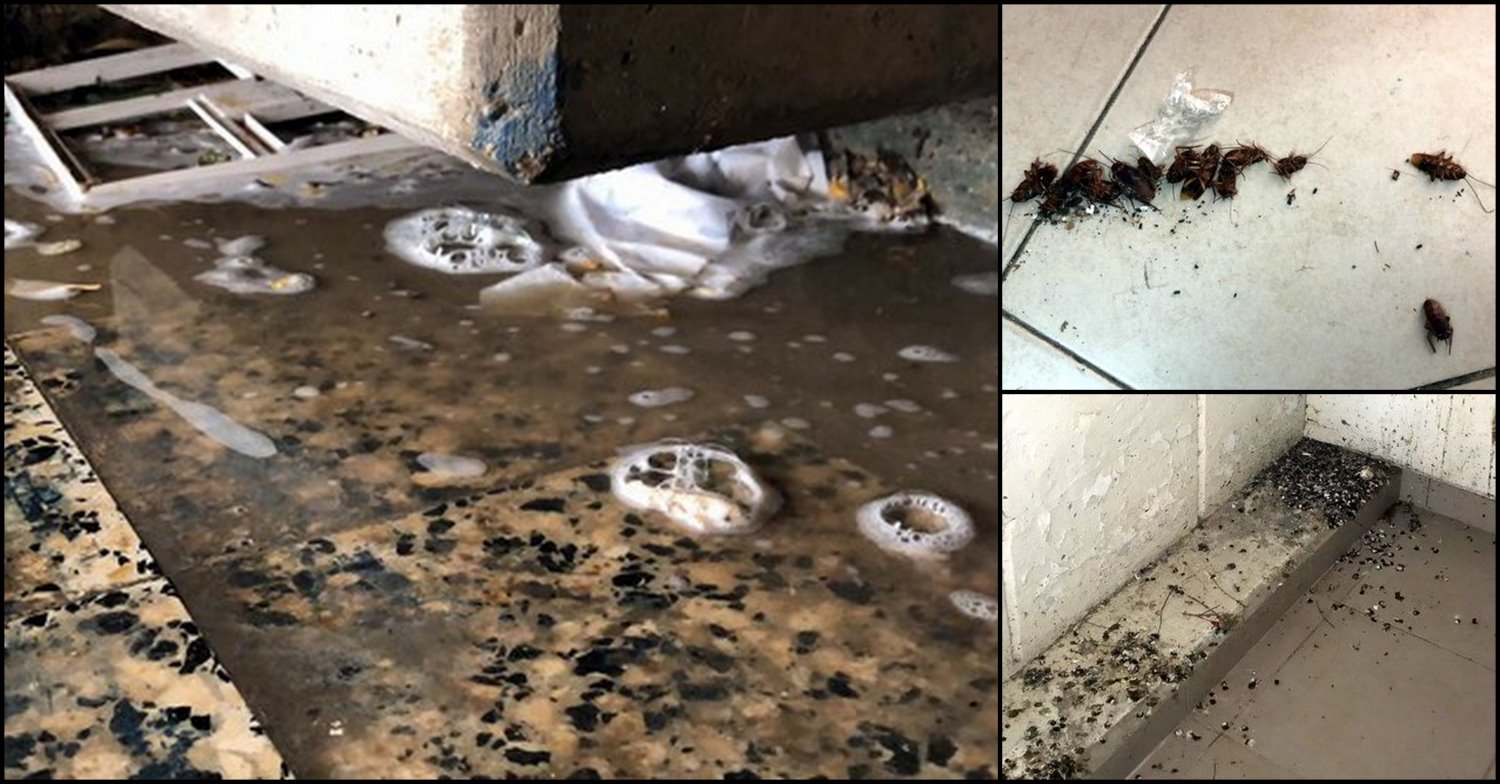 "הנושא מוכר ומטופל בצה"ל", תגובת הצבא. צילום: פרטי