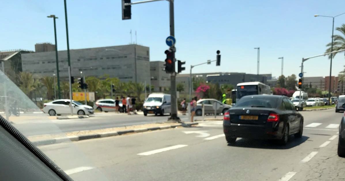 צילום: נווה סגל