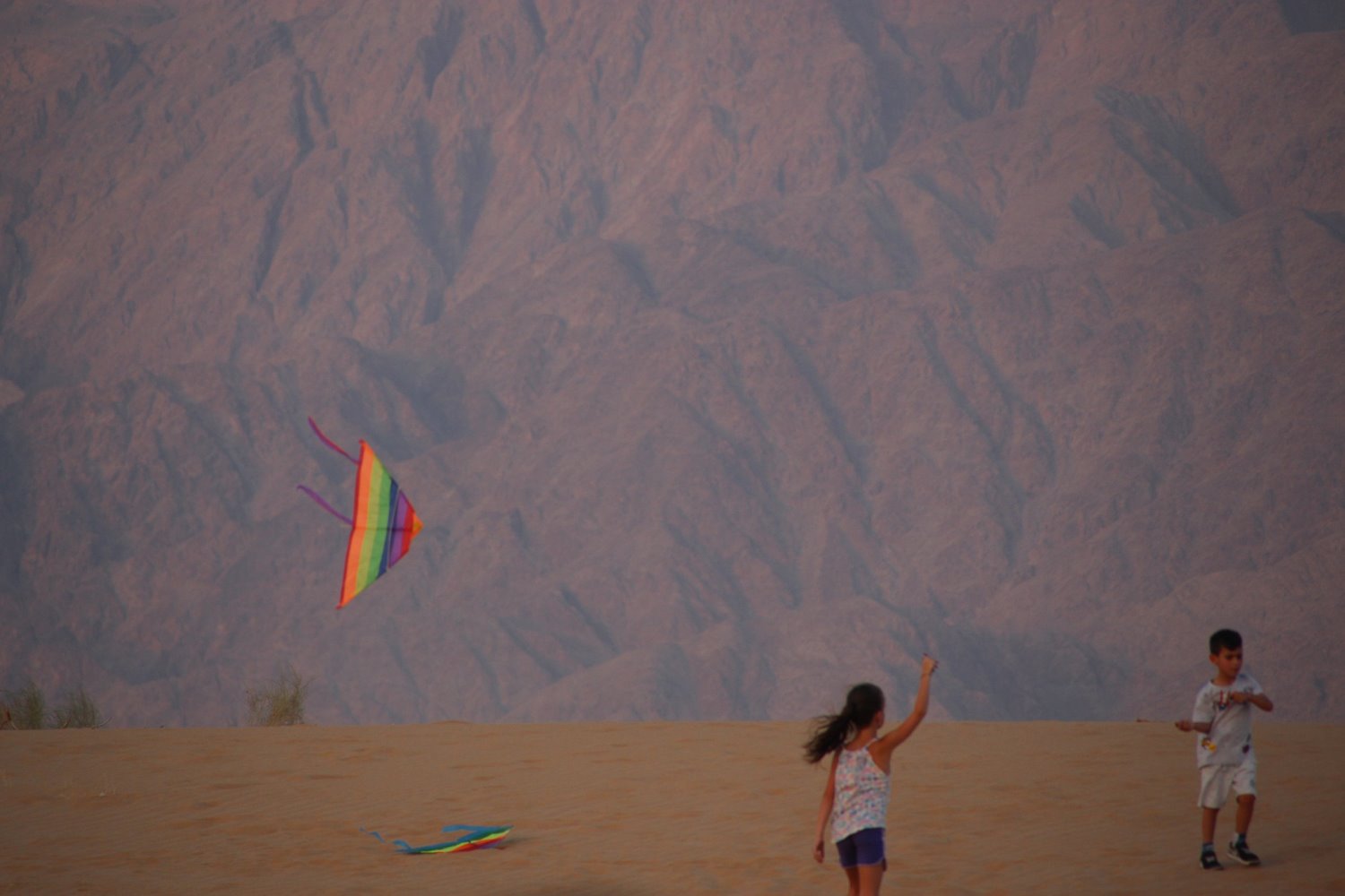 פסטיבל אנרגטי בערבה. צילום: ניצן גולן