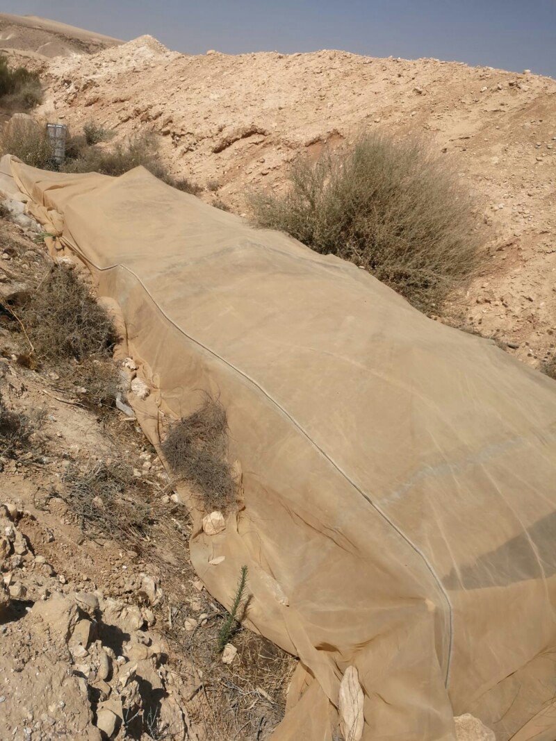 צילום: דוברות המשטרה