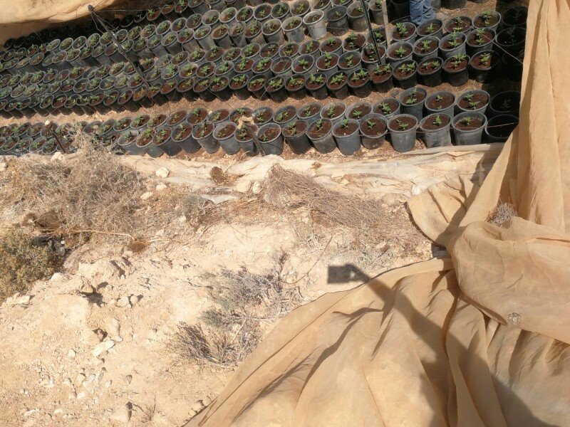 צילום: דוברות המשטרה