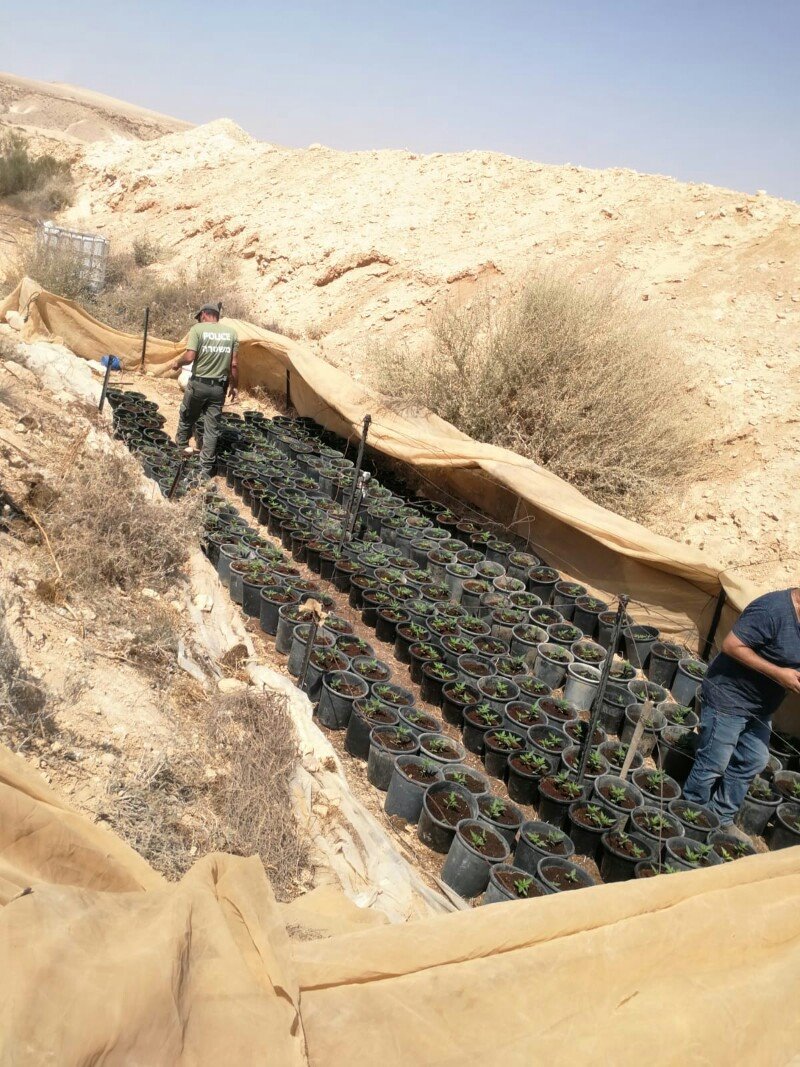 צילום: דוברות המשטרה