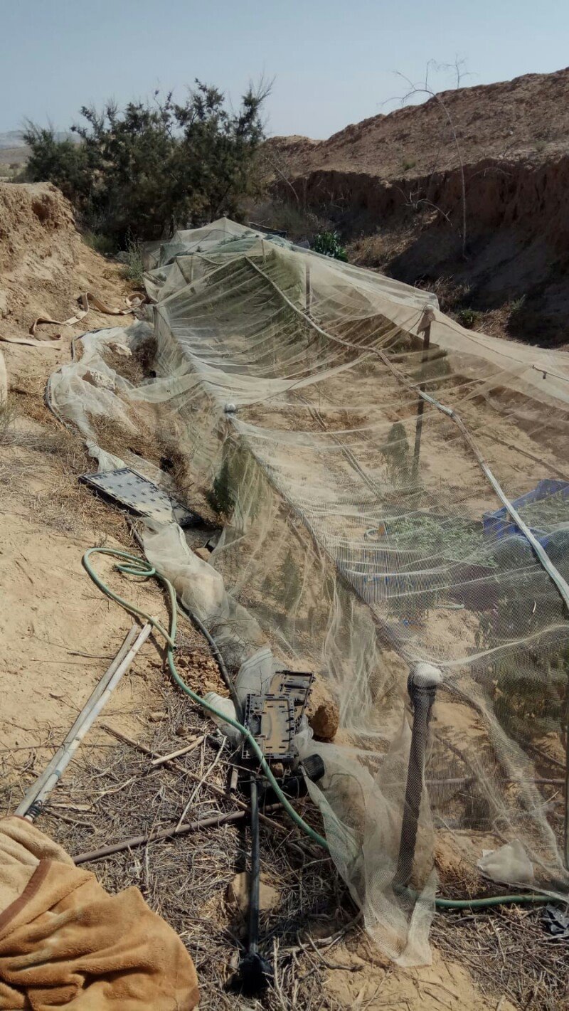 צילום: דוברות המשטרה