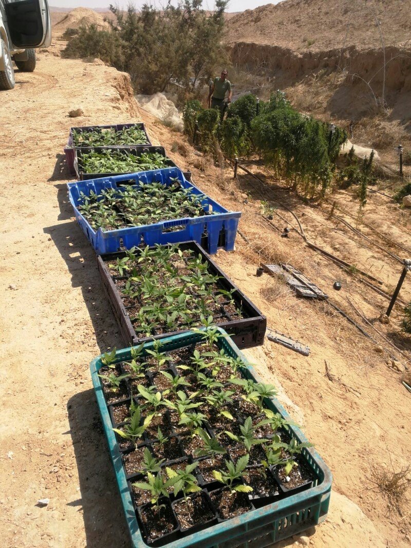 צילום: דוברות המשטרה