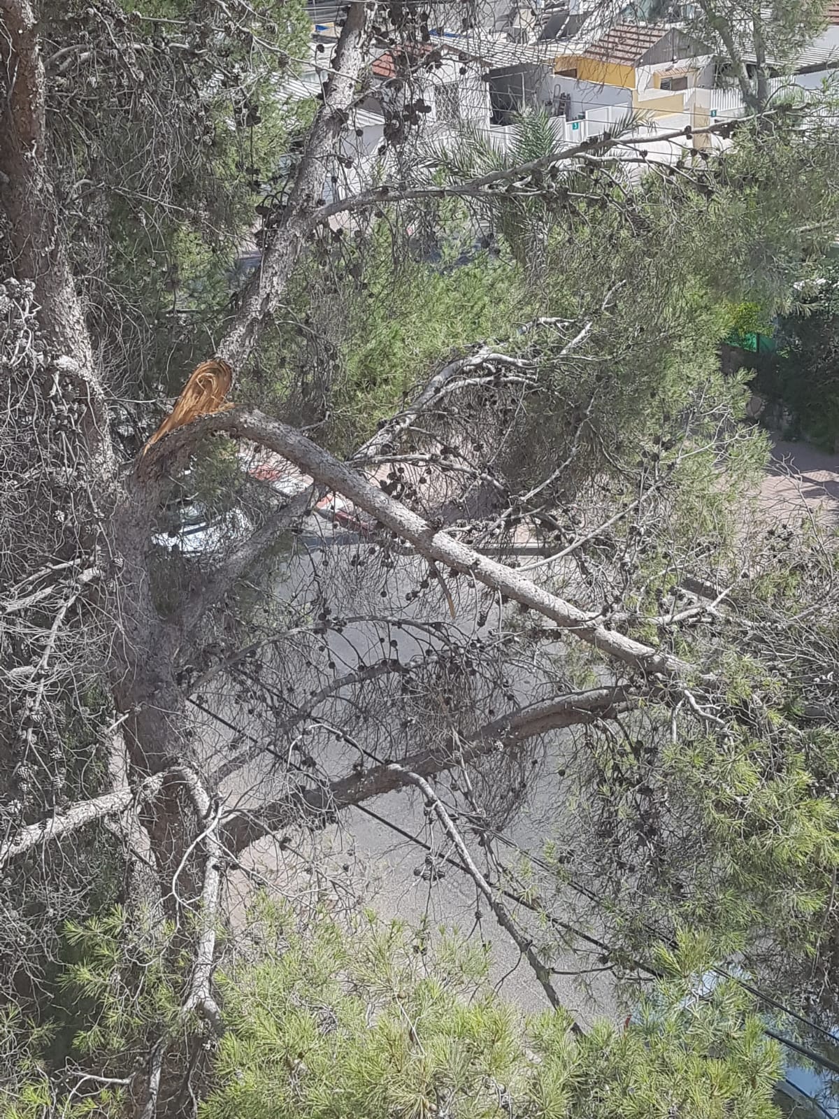 אסון שמחכה להתרחש. צילום פרטי