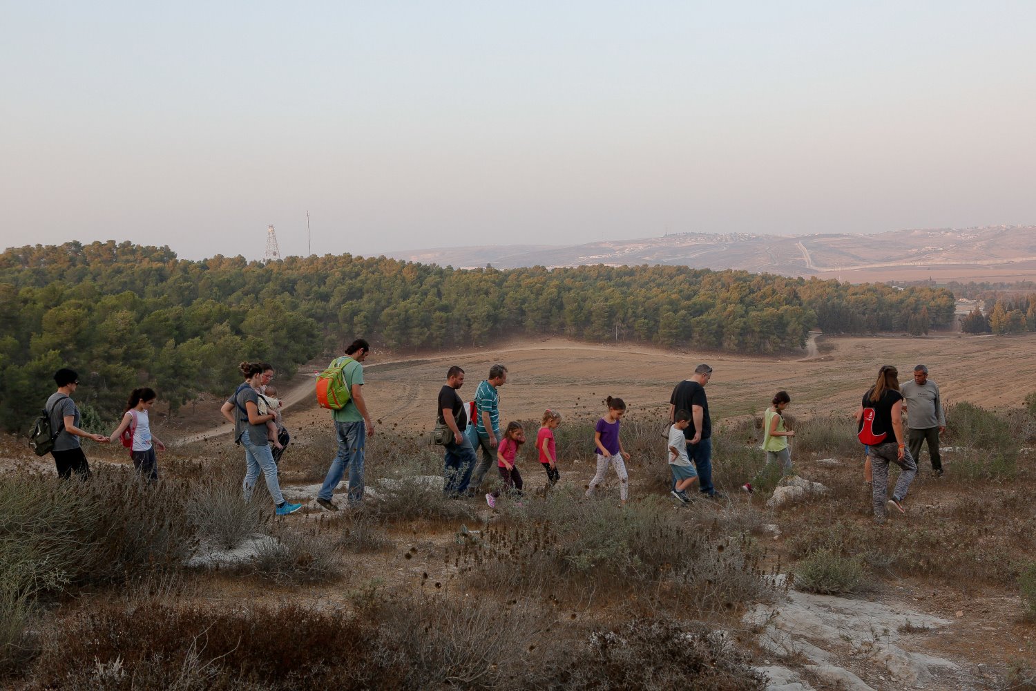 סיורי גששות ביער להב. צילום אמנון גוטמן