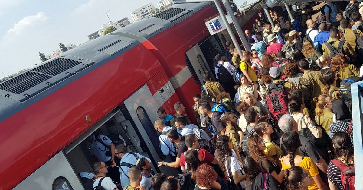 צילום: מתנאל רבינוביץ