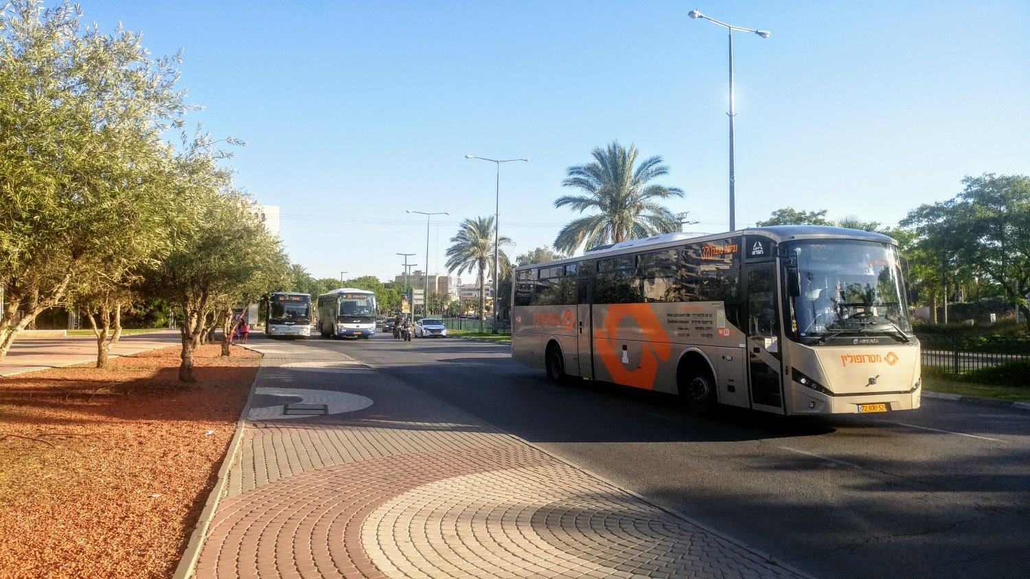 אוזלת יד בטיפול בתחבורה הציבורית בישראל, ונוסעי התחבורה הציבורית נאלצים לספוג כל פעם מחדש. הגיע הזמן לפתרון. צילום: שרון טל