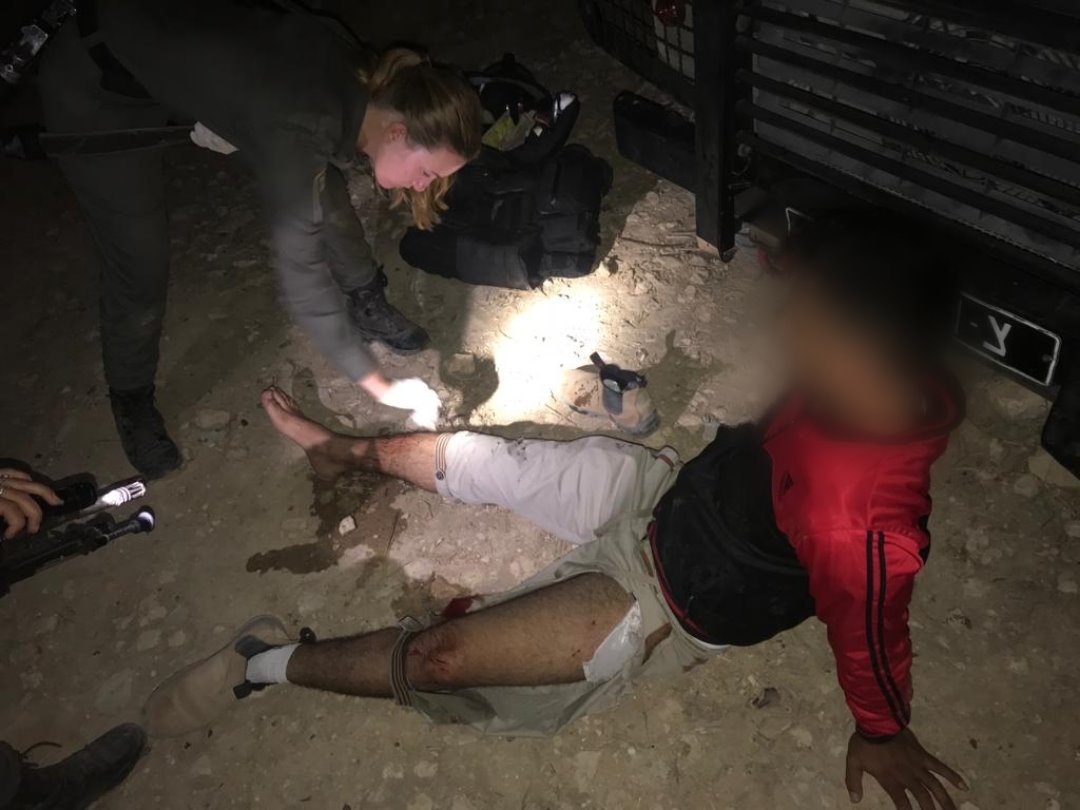 אחד השוהים הבלתי חוקיים ניסה להימלט ונחתך ברגלו. טופל בשטח. צילום: דוברות המשטרה 