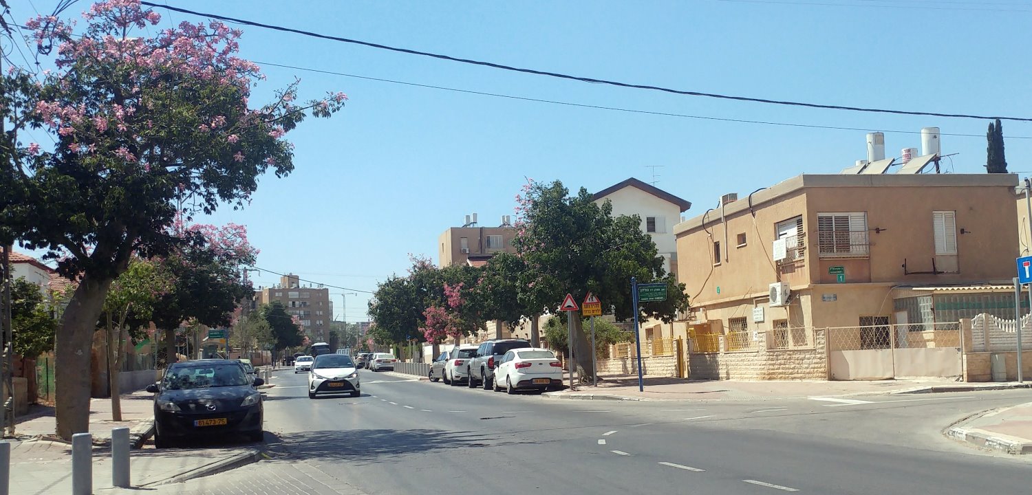 רחוב ויצמן בשכונה א'. צילום: שרון טל