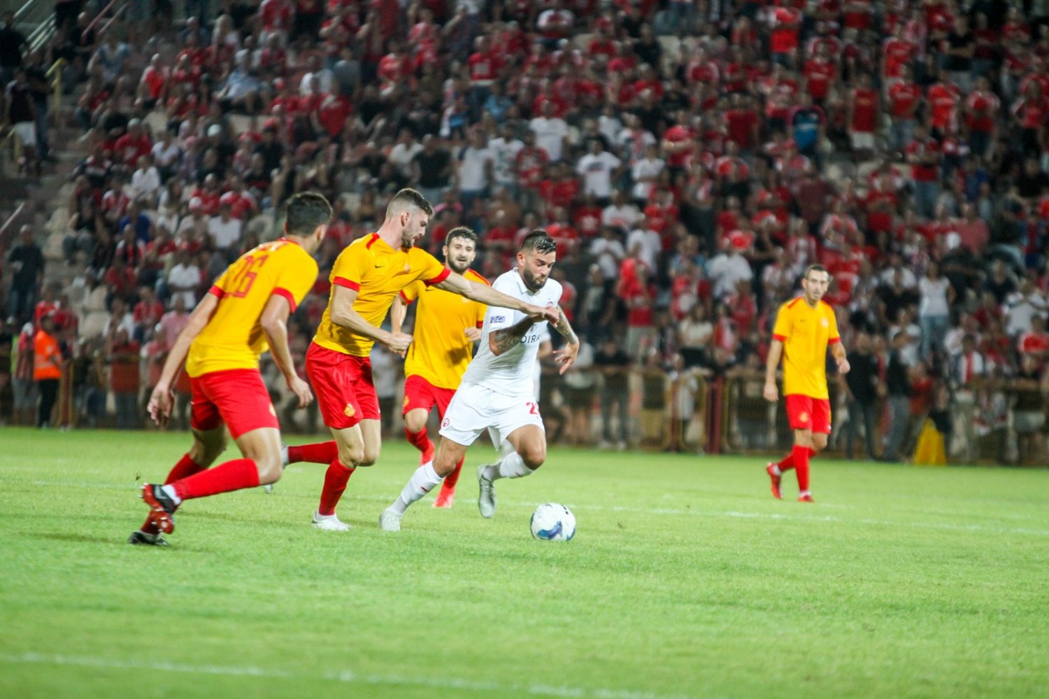 צילום: זאב דיקמן