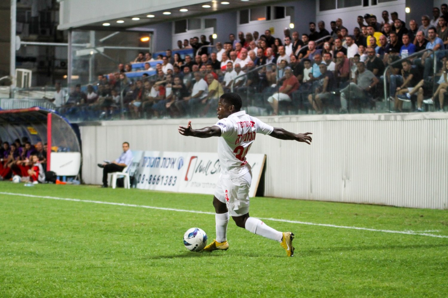 צילום: זאב דיקמן