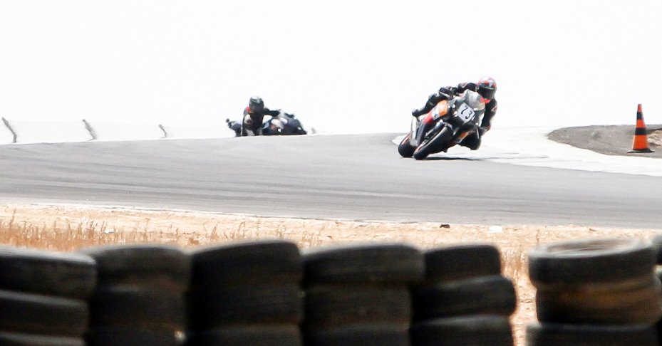 צילום: זאב דיקמן