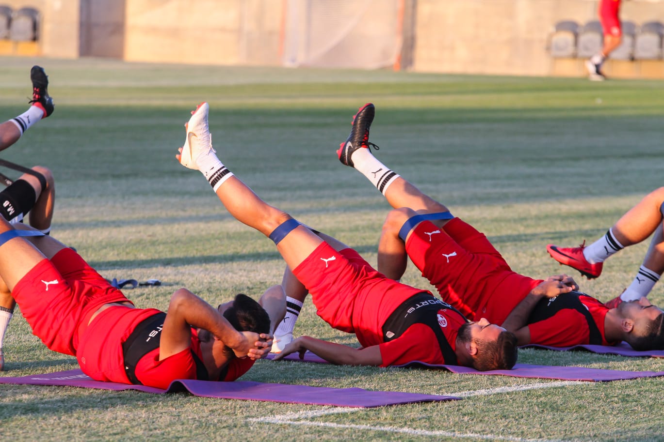 צילום: זאב דיקמן