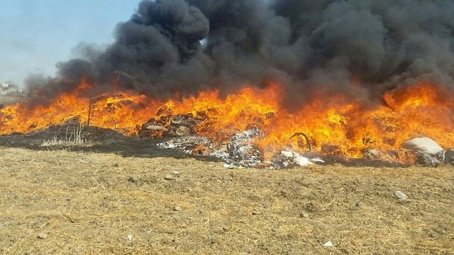 יורכב כוח משימה מיוחד לטפל בתופעה. צילום להמחשה: דוברות המשרד להגנת הסביבה