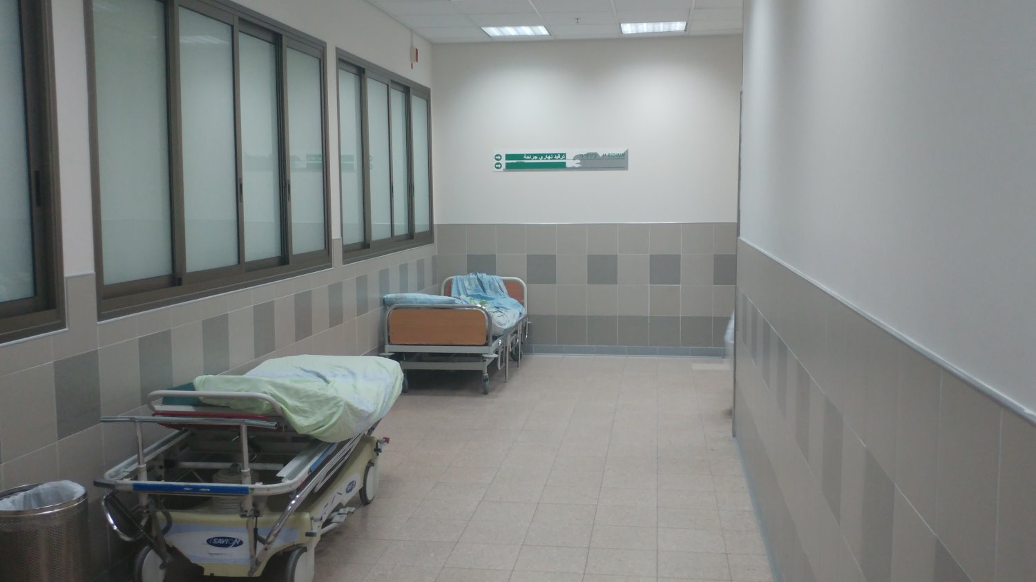 צילום ארכיון: שרון טל