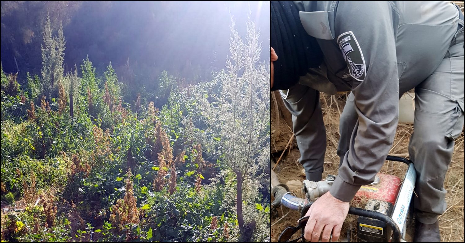 צילום: דוברות המשטרה