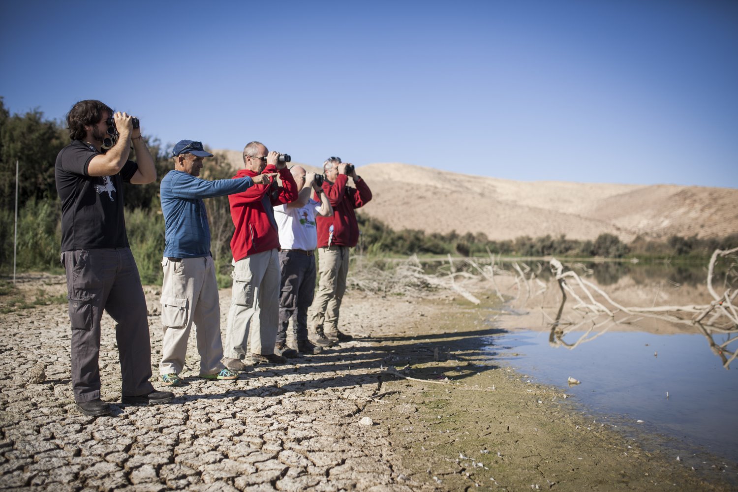 צפרתון | צילום: אור אלכסנברג