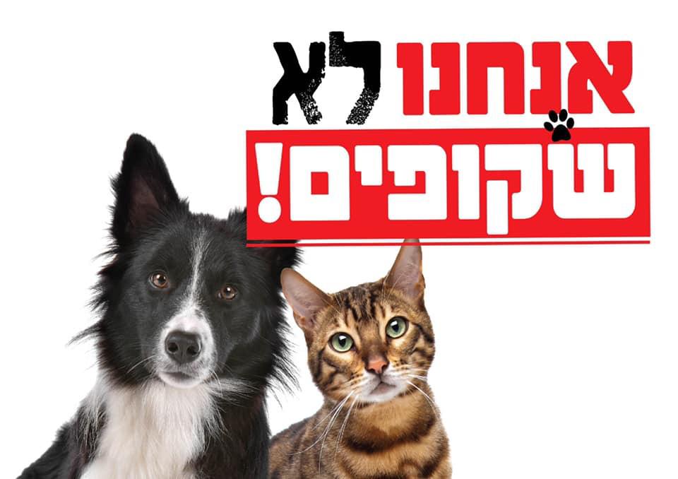 לא שקופים תמונה: תשע נשמות 