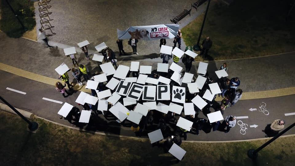 מצעד למען בעלי החיים צילום: תשע נשמות 