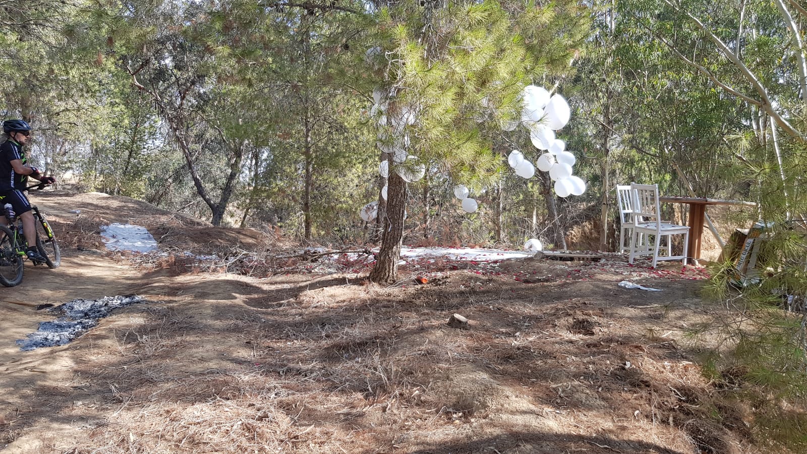 אשפה בסינגל שרשרת קרדיט: בוריס וולודרסקי יערן קק״ל