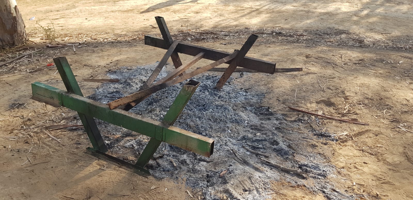 שולחן שרוף ביער שרשרת קרדיט: בוריס וולודרסקי יערן קק״ל