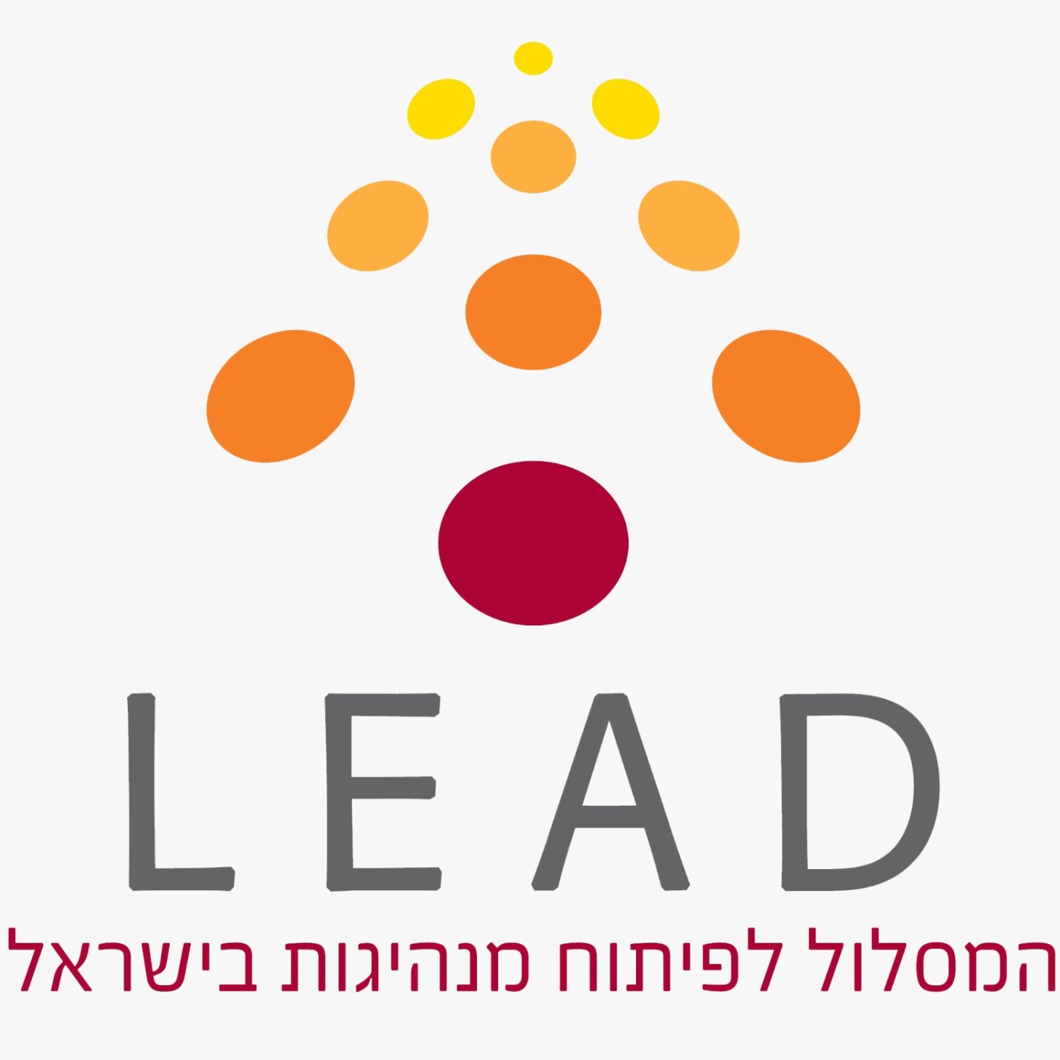 מפתחים מנהיגים צעירים LEAD
