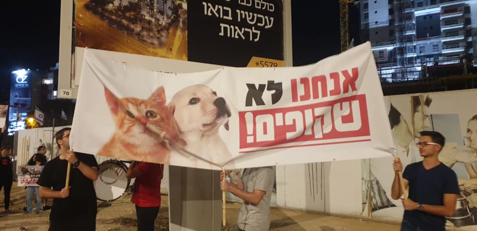 צילום: תשע נשמות