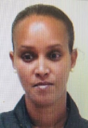 אביבה גשה פסהיי