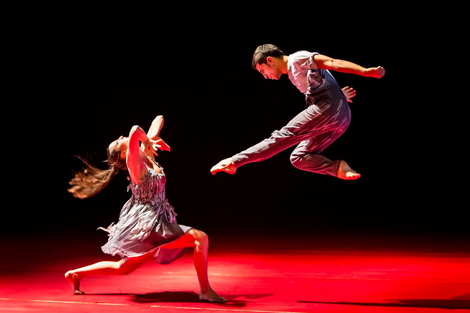 צילום: כפיר בולוטין