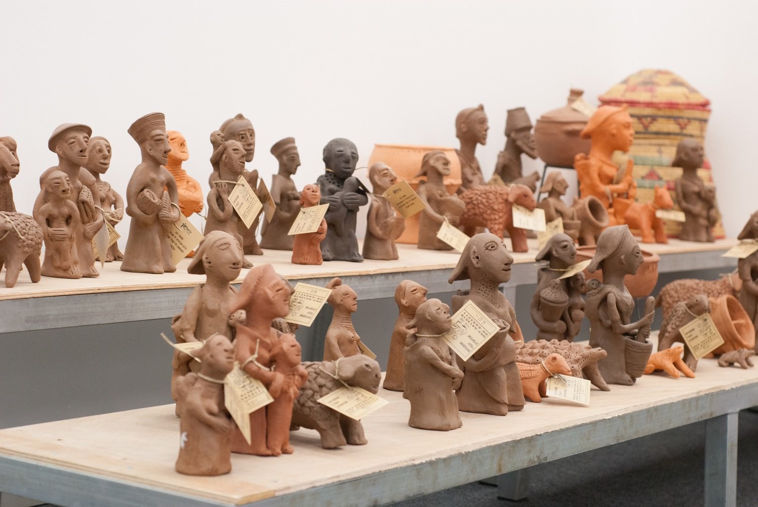 צילום ענת וקים