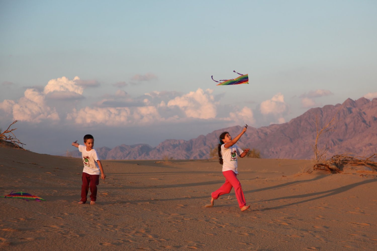 עפיפונים בדיונות סמר - חיים יפים