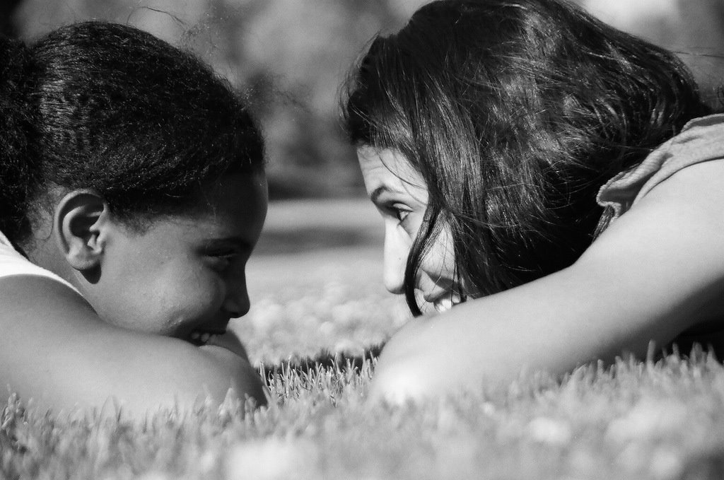 צילום: יח&quot;צ