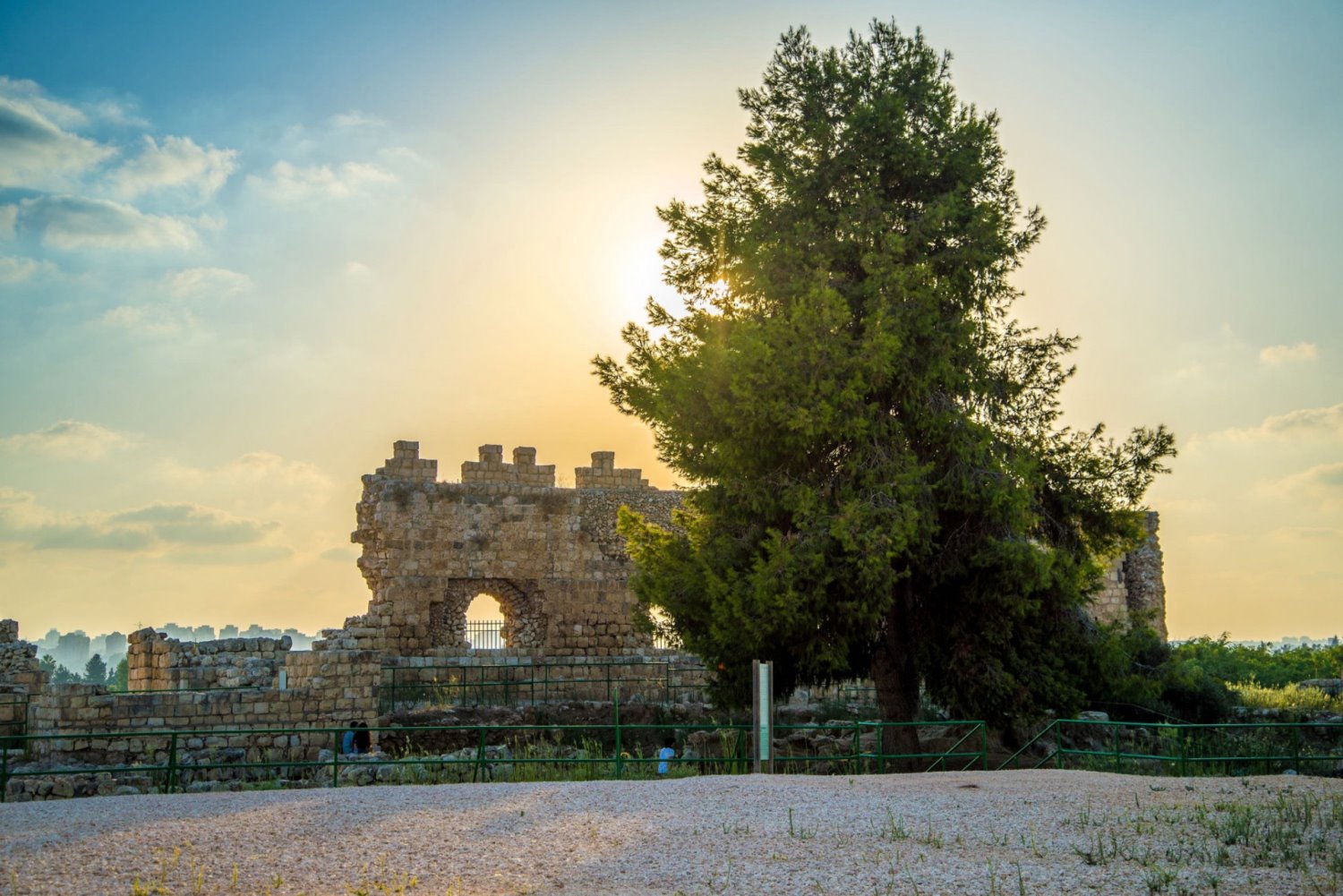 צילום מנו גרינשפן