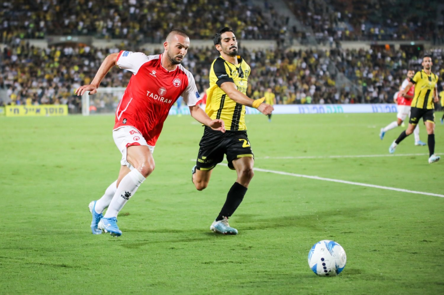 צילום: זאב דיקמן