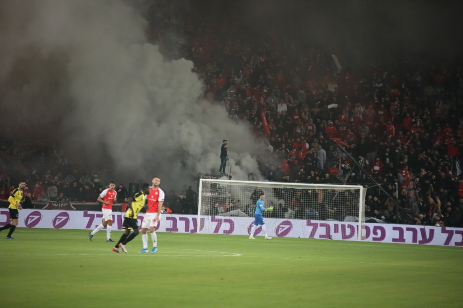 אבוקות בטרנר. צילום: זאב דיקמן