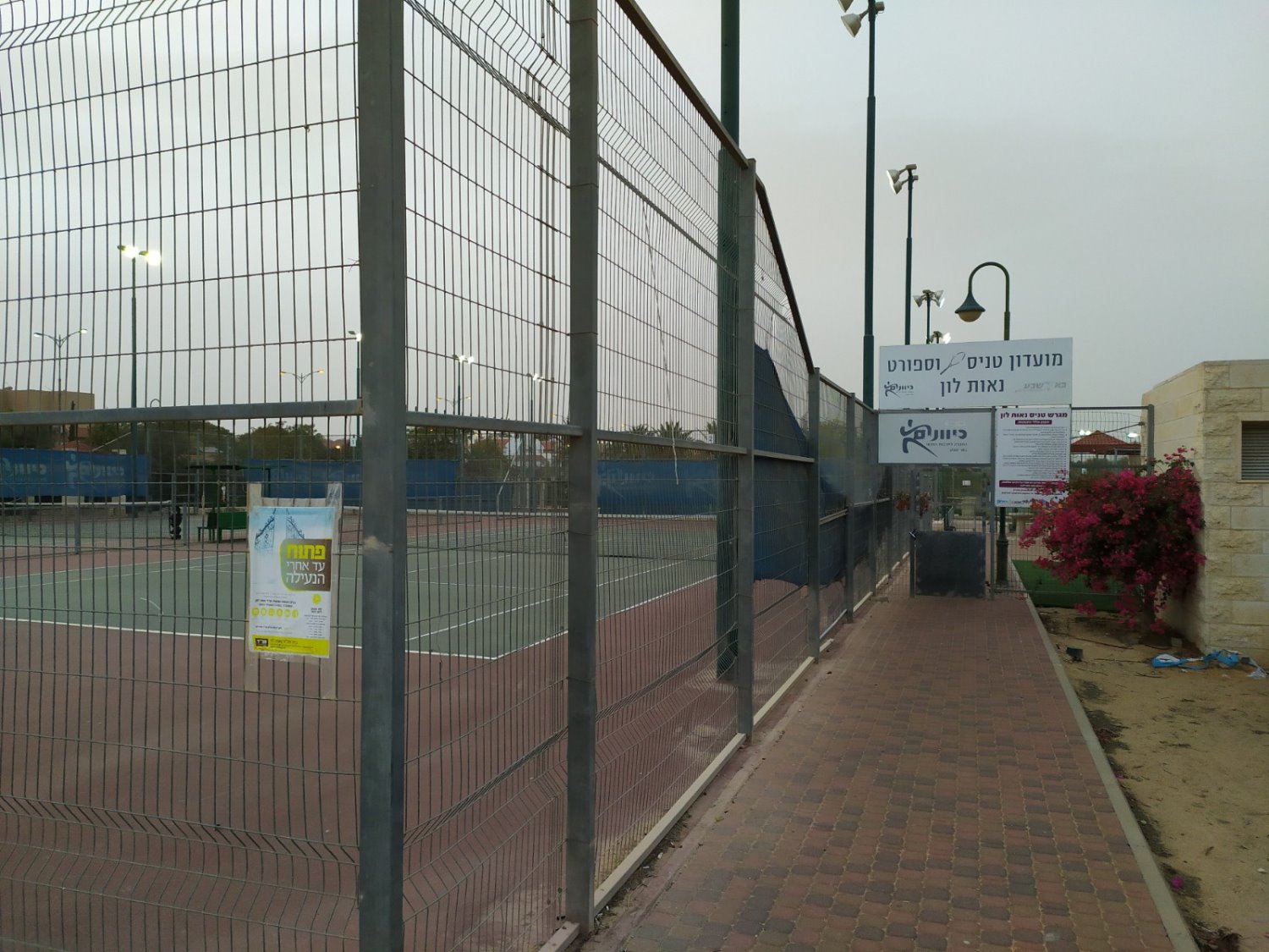 ניתן לשחק בחינם בסופי שבוע צילום: איליה יגורוב