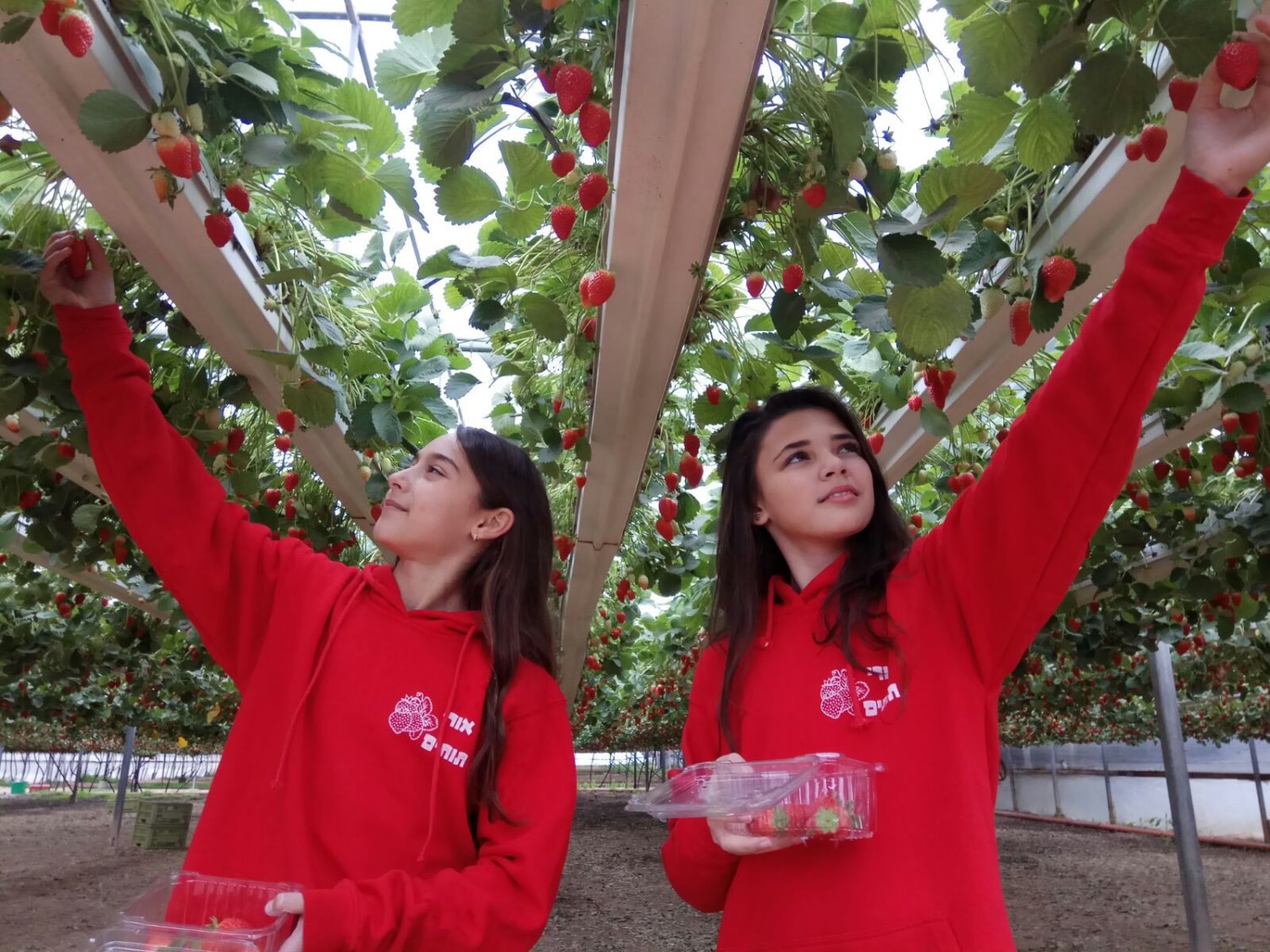 צילום מיה טנר