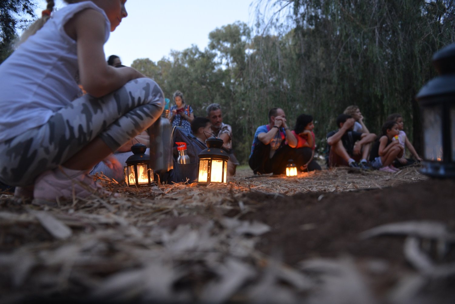 קרדיט גיא אסיאג ארכיון צילומים קק"ל