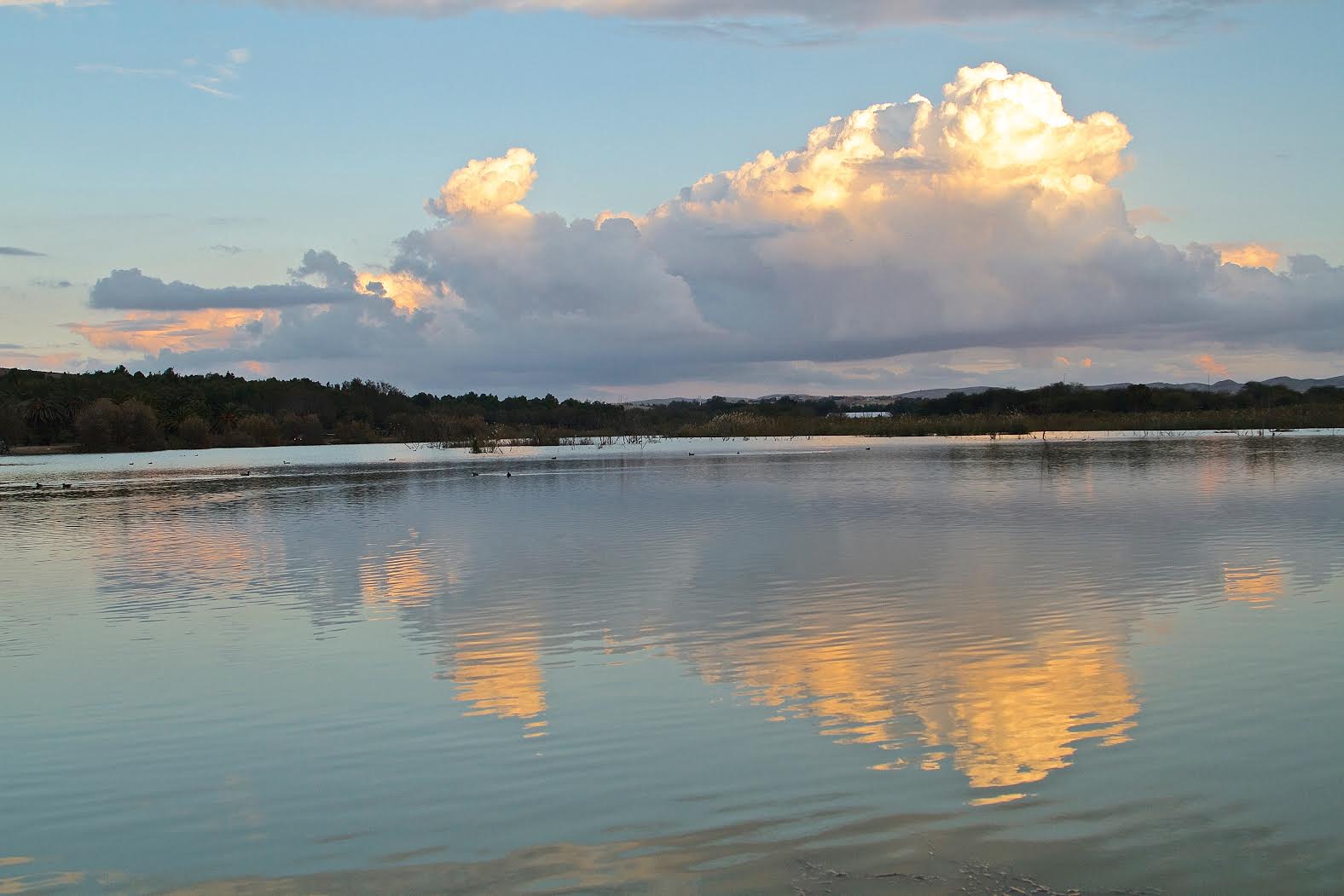 צילום ישי בן סימון