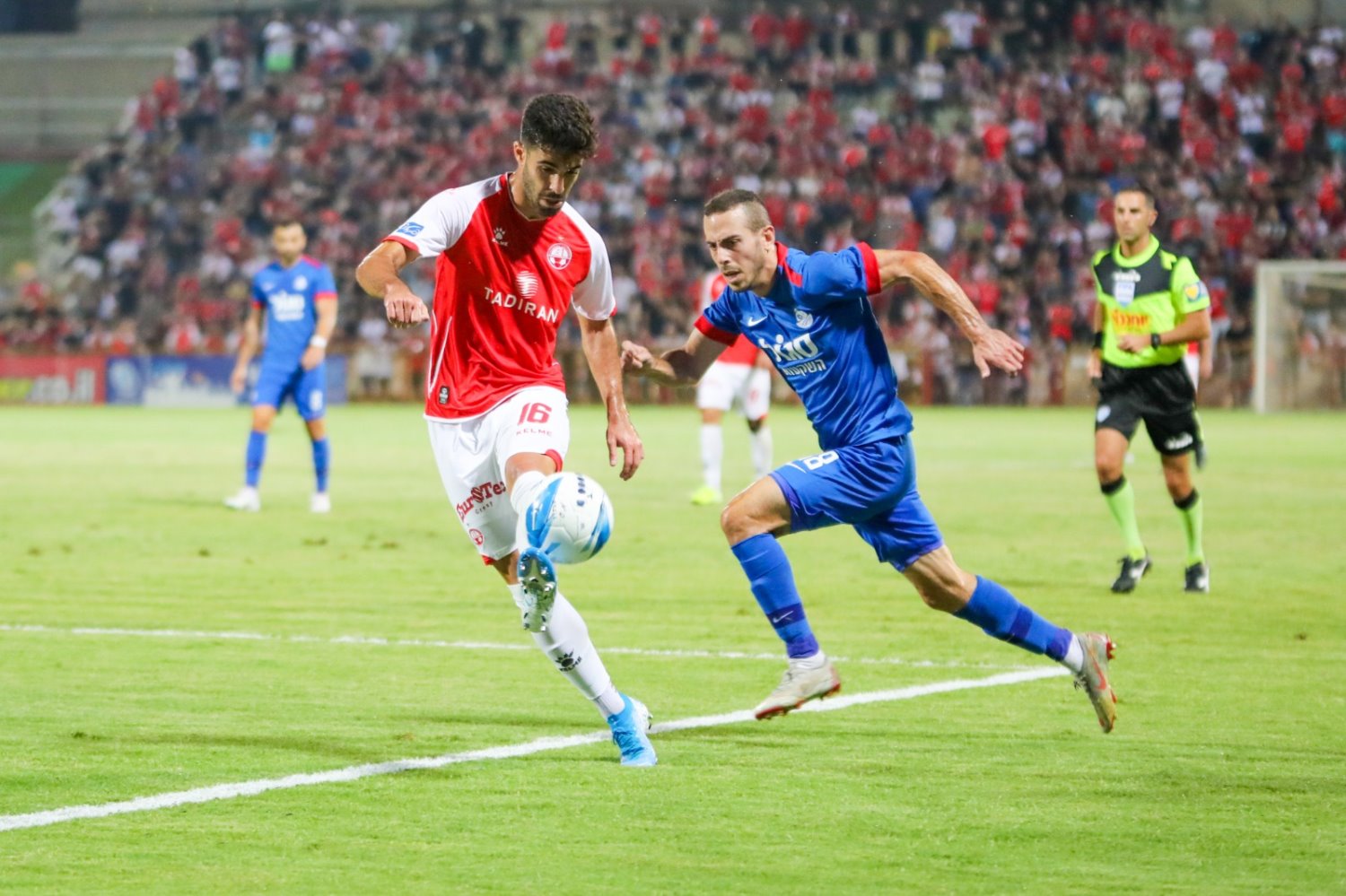 צילום: זאב דיקמן