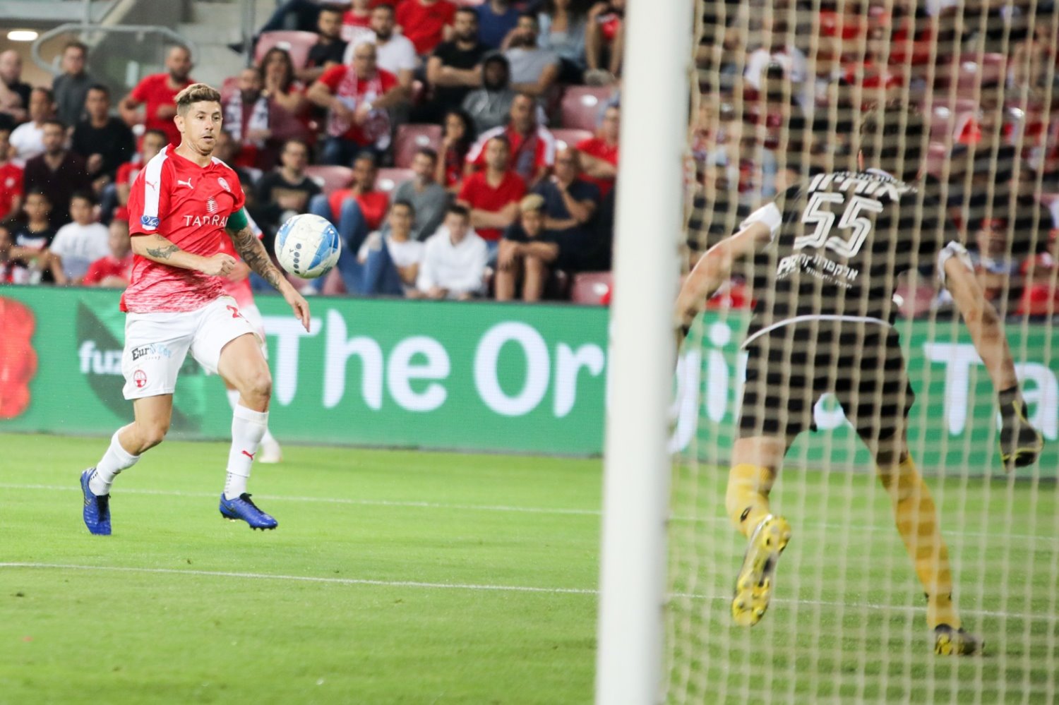 צילום: זאב דיקמן 