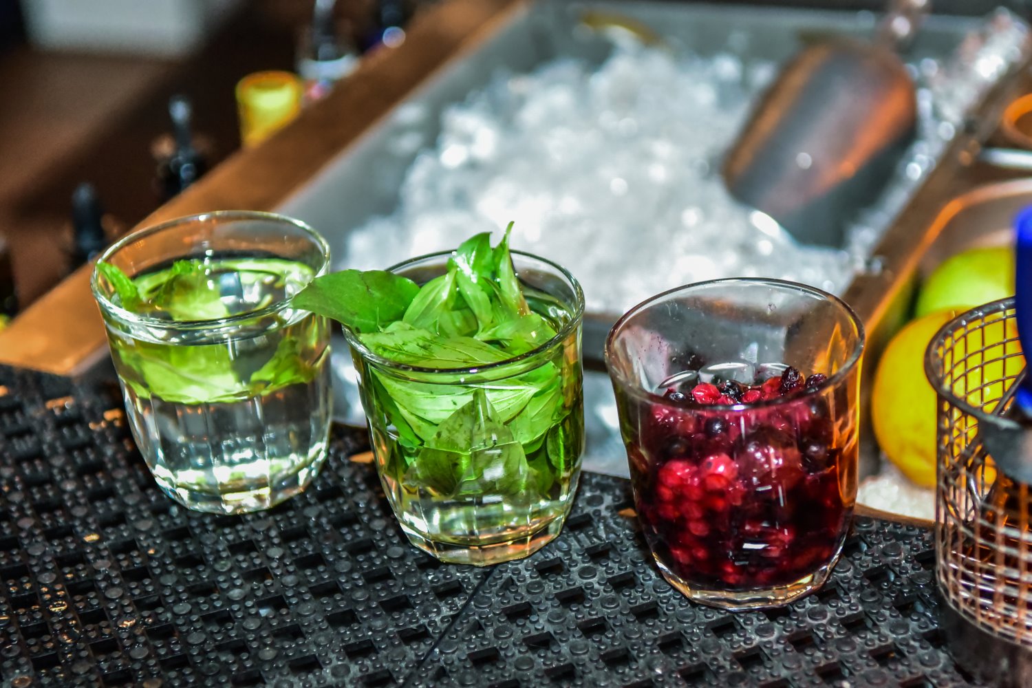 קרדיט צלמים: דוד פנחבסקי, אולגה צרגורודצב, גליה אבירם