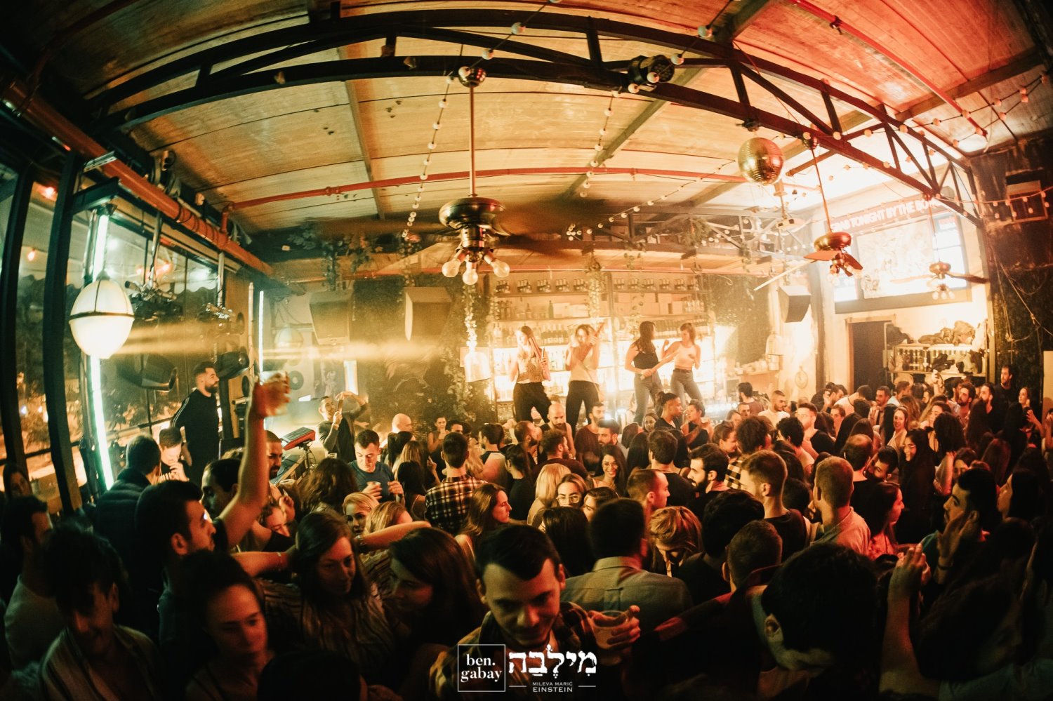 מילבה. צילום בן גבאי