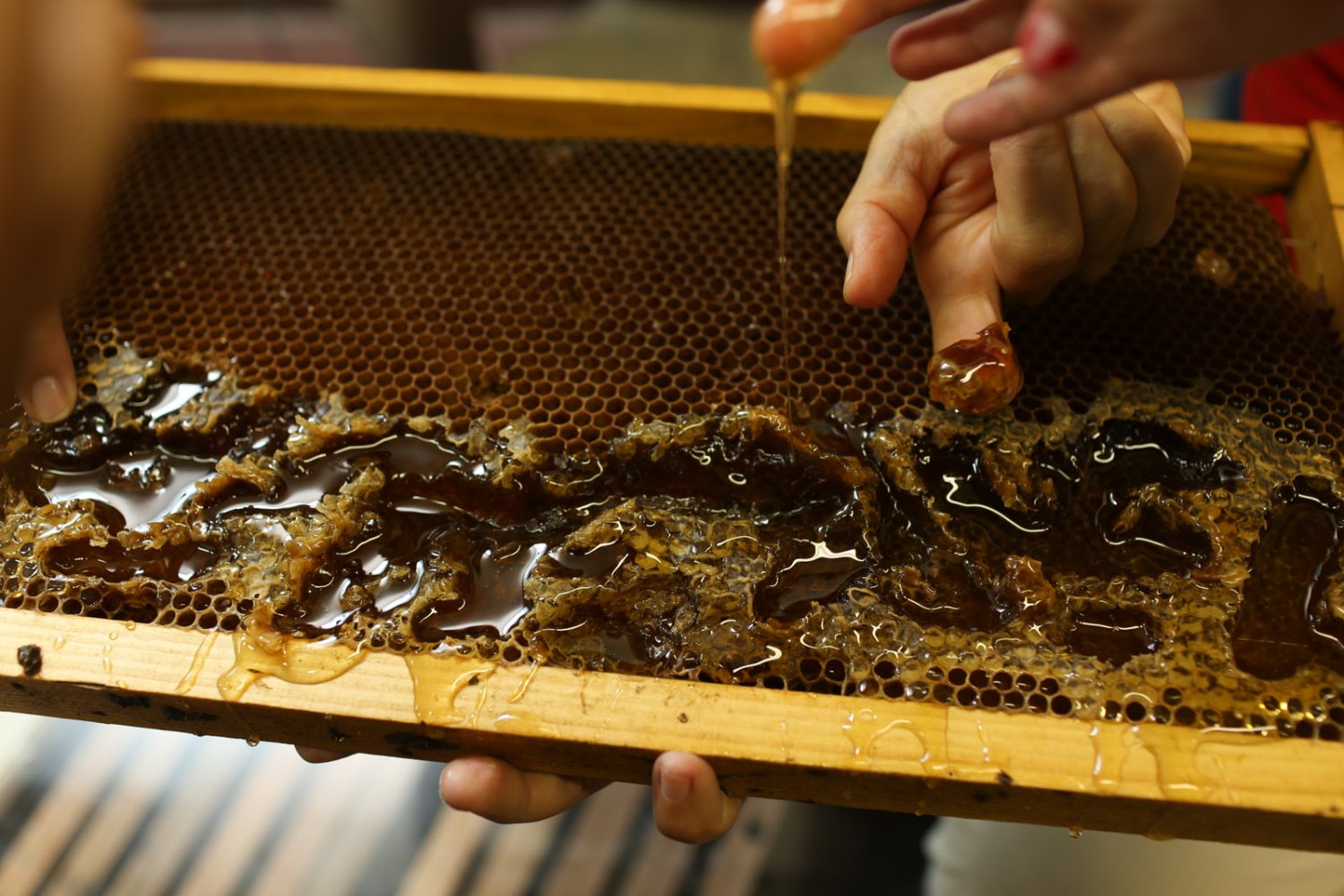 תיירות קיבוץ יד מרדכי