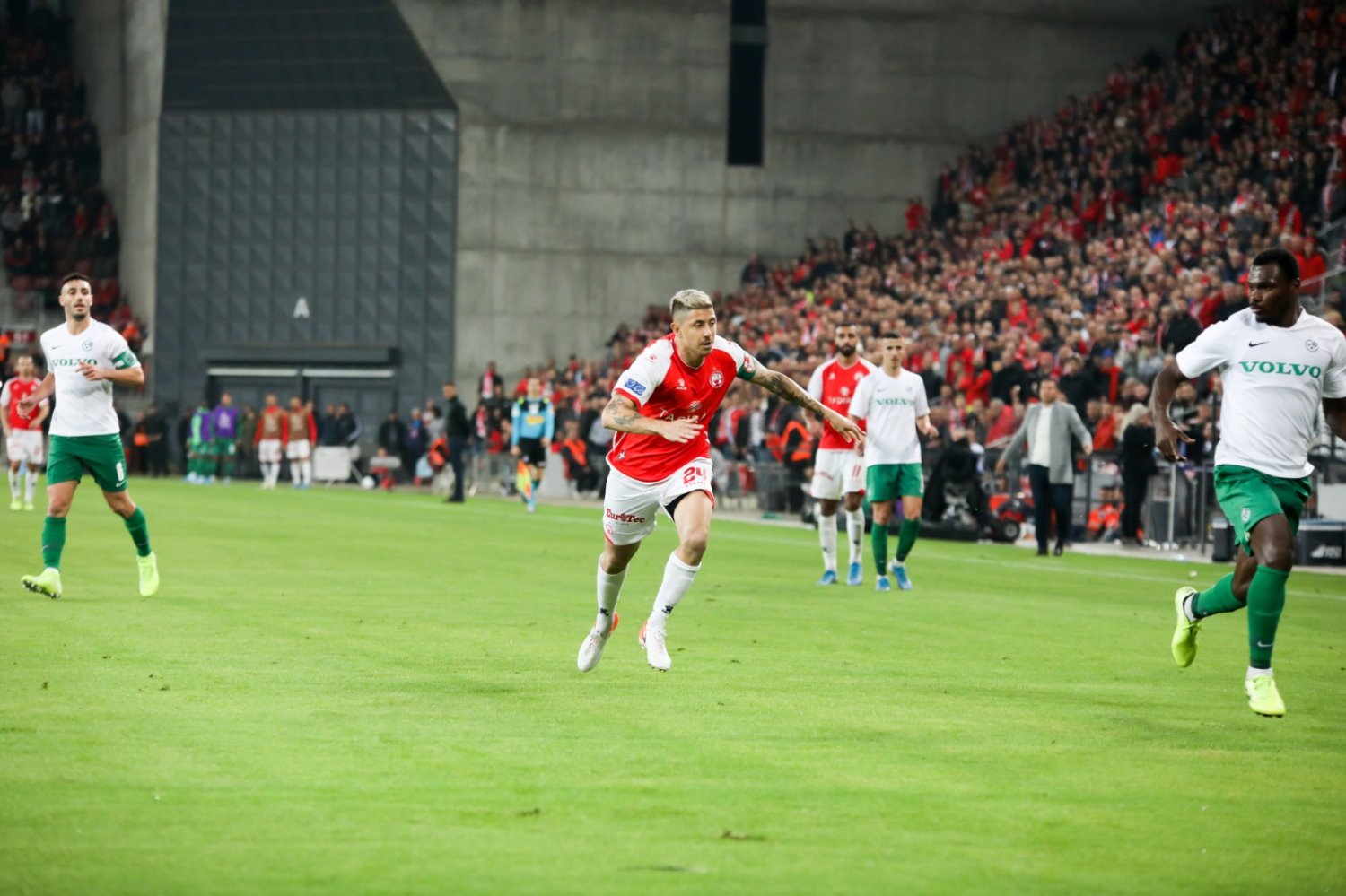 צילום: זאב דיקמן